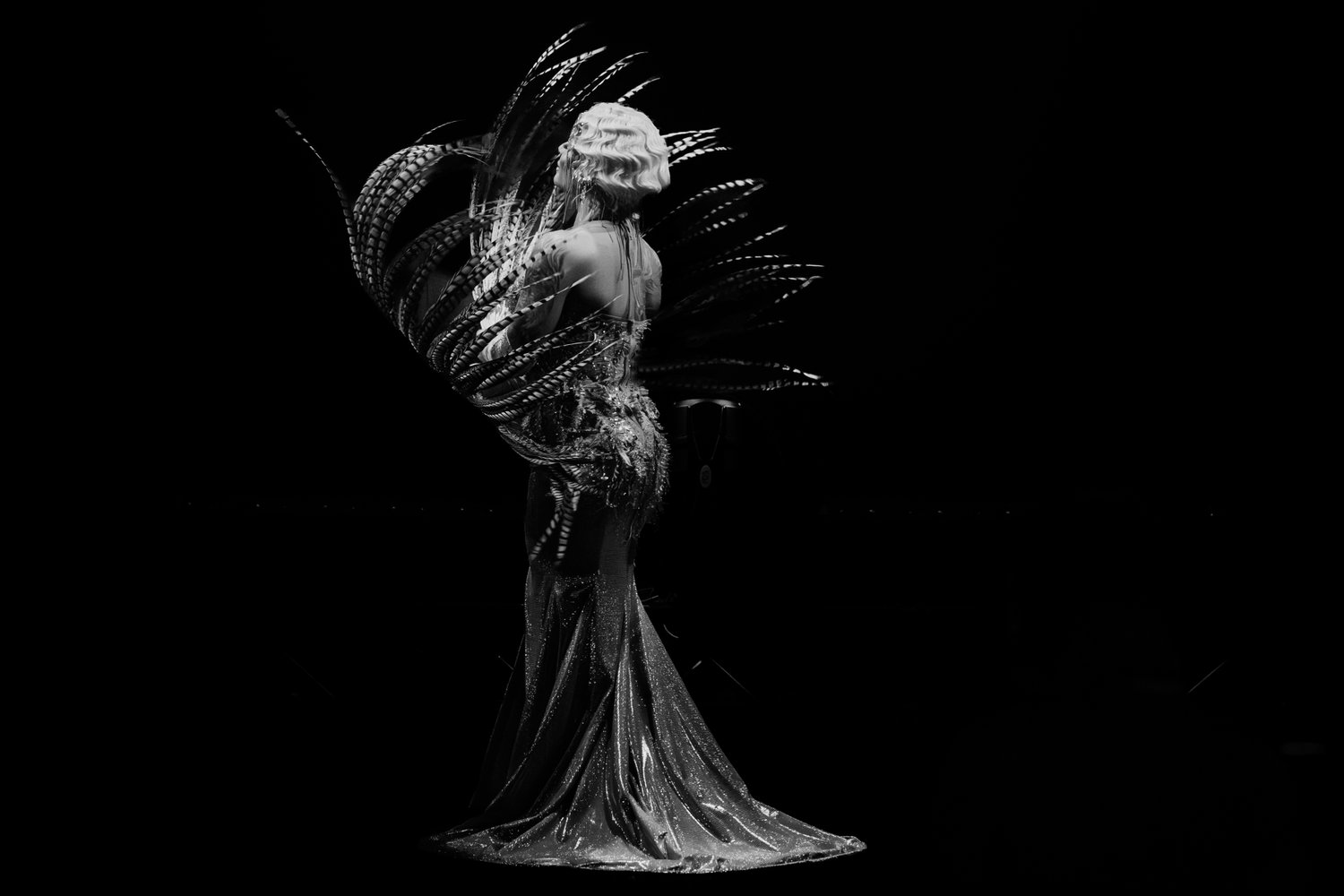 Logo Adieu Tristesse Photography