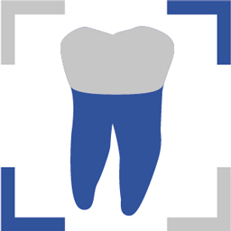Logo Dr. med. dent. Heiner Roeb