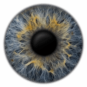 Logo Eyepixx Iris-Fotografie Hamburg