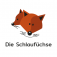 Logo Kiga Naturkindergarten "die Schlaufüchse"