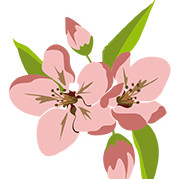 Logo Kita Apfelblüte