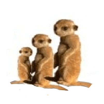Logo Krippe & Kita Bunte Erdmännchen