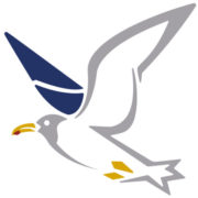 Logo Möwenzahn - Praxis für Kieferorthopädie