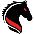 Logo Steuerkanzlei Bauerfeind