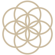 Logo The Secret Code Of Beauty