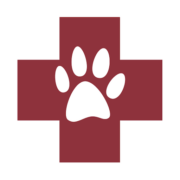 Logo Tierarzt Jülich, Tierärztliche Praxis für Kleintiere am Brückenkopfpark