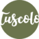 Logo Tuscolo Münsterblick