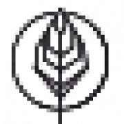 Logo URTE STURM PHOTOGRAPHY