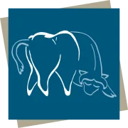 Logo Zahnarztpraxis Dr. Andrea Strobl & Kollegen