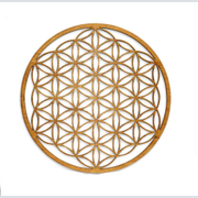 Logo Zahnarztpraxis Pitz Wilhelmsruh - Die Praxis für Patienten mit Angst