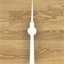 Logo Zahnkultur Berlin Adlershof